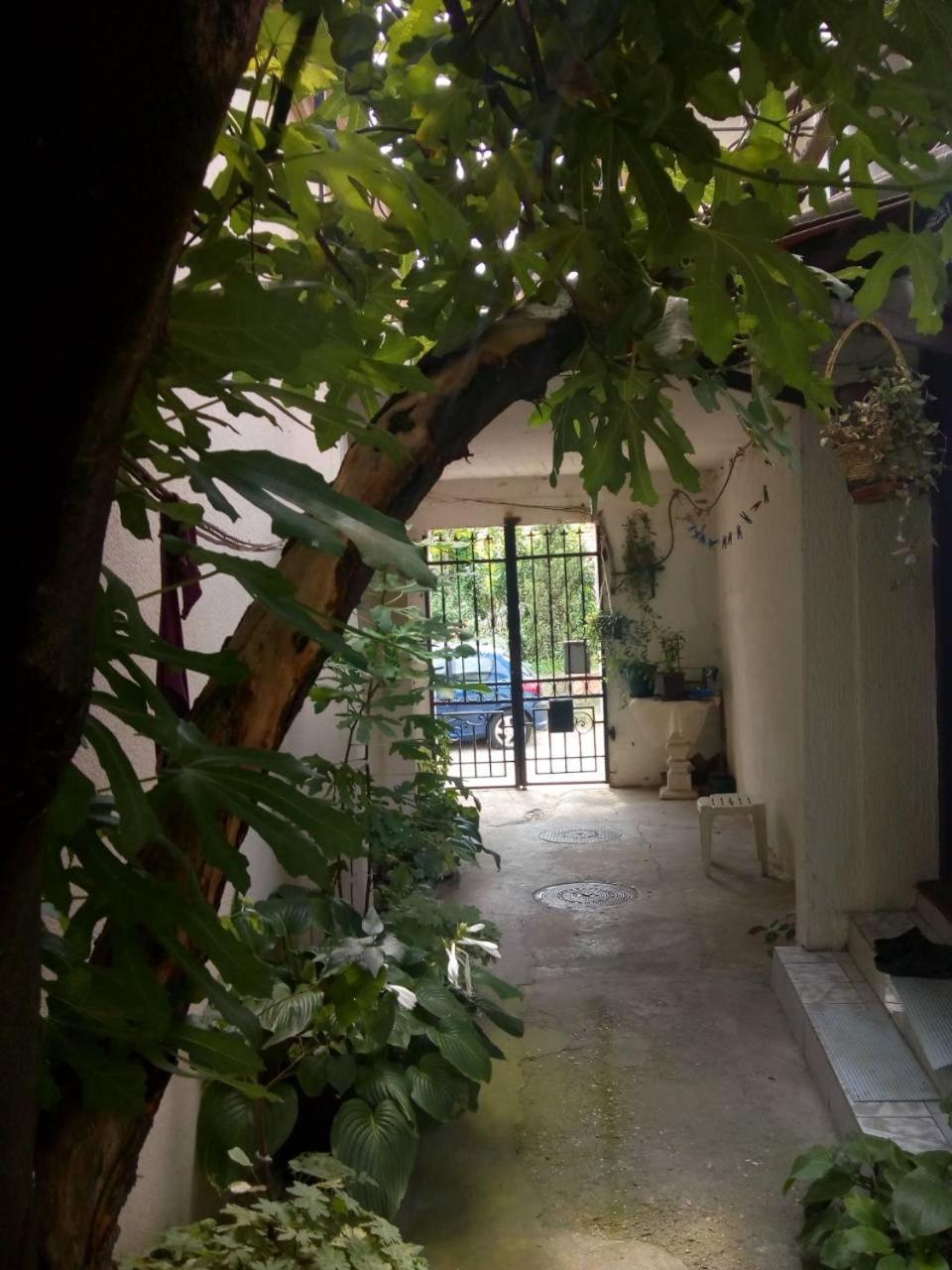 Ferienwohnung Gardos Belgrad Exterior foto